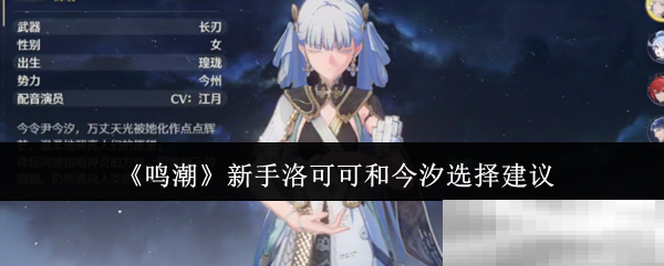 鸣潮新手洛可可和今汐选择建议