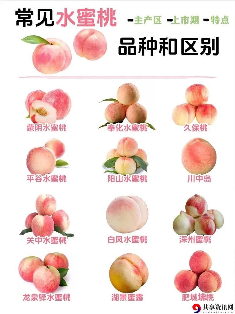 ysI水蜜桃86满十八与88满十八有什么区别揭秘，网友：这才是真相！