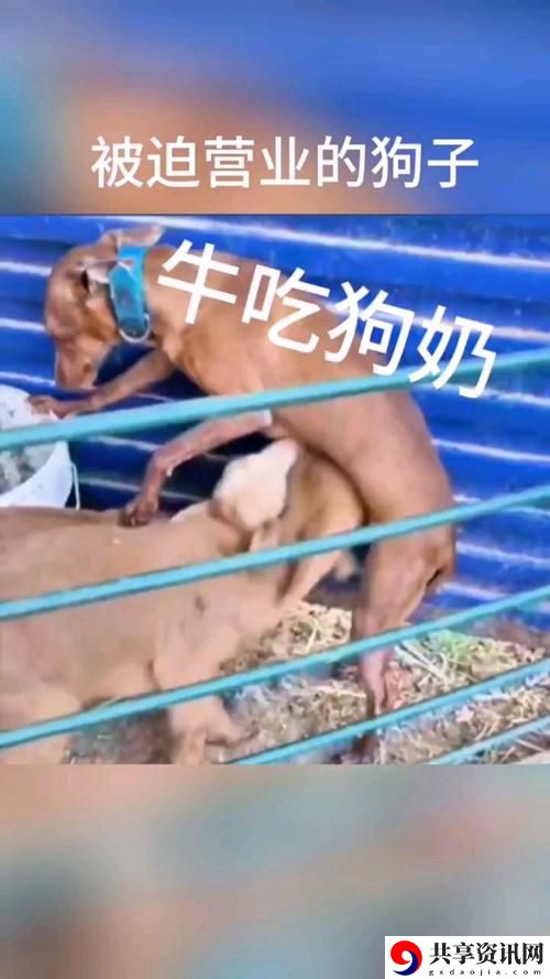 公天天吃我奶躁我，网友直言：这才是爱与鞭策的真谛！