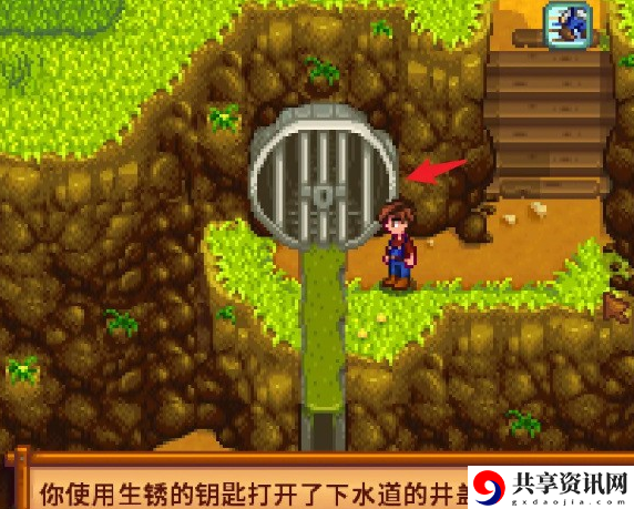 星露谷物语水道另一个洞在哪里