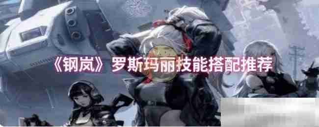 钢岚罗斯玛丽技能搭配推荐