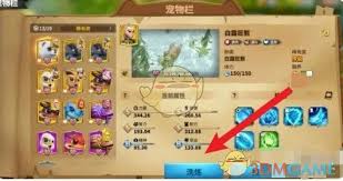 万龙觉醒宠物如何洗练