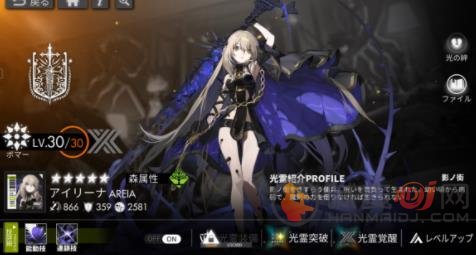 白夜极光阵容搭配方法 白夜极光游戏如何组队