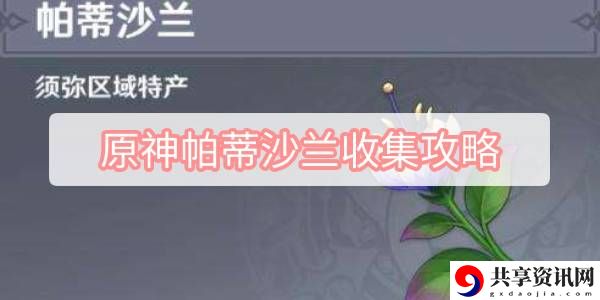 原神帕蒂沙兰收集最新攻略 隐藏宝藏获取全解