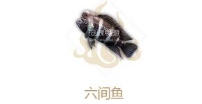 妄想山海六间鱼属性介绍：善于总结和分析游戏中的失败经验