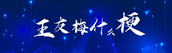 抖音王友梅梗意思、含义盘、出处介绍：提升装备属性