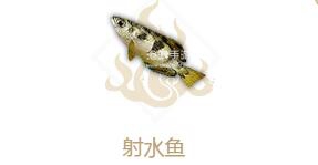 妄想山海射水鱼属性介绍：如何最大化游戏收益